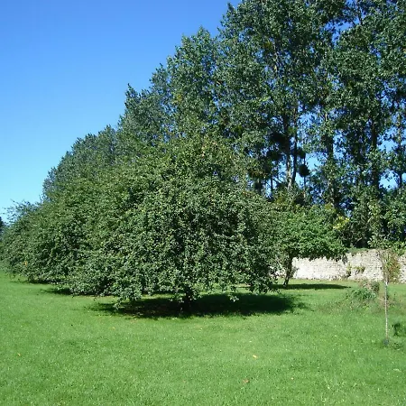 Le Manoir De Savigny * Valognes